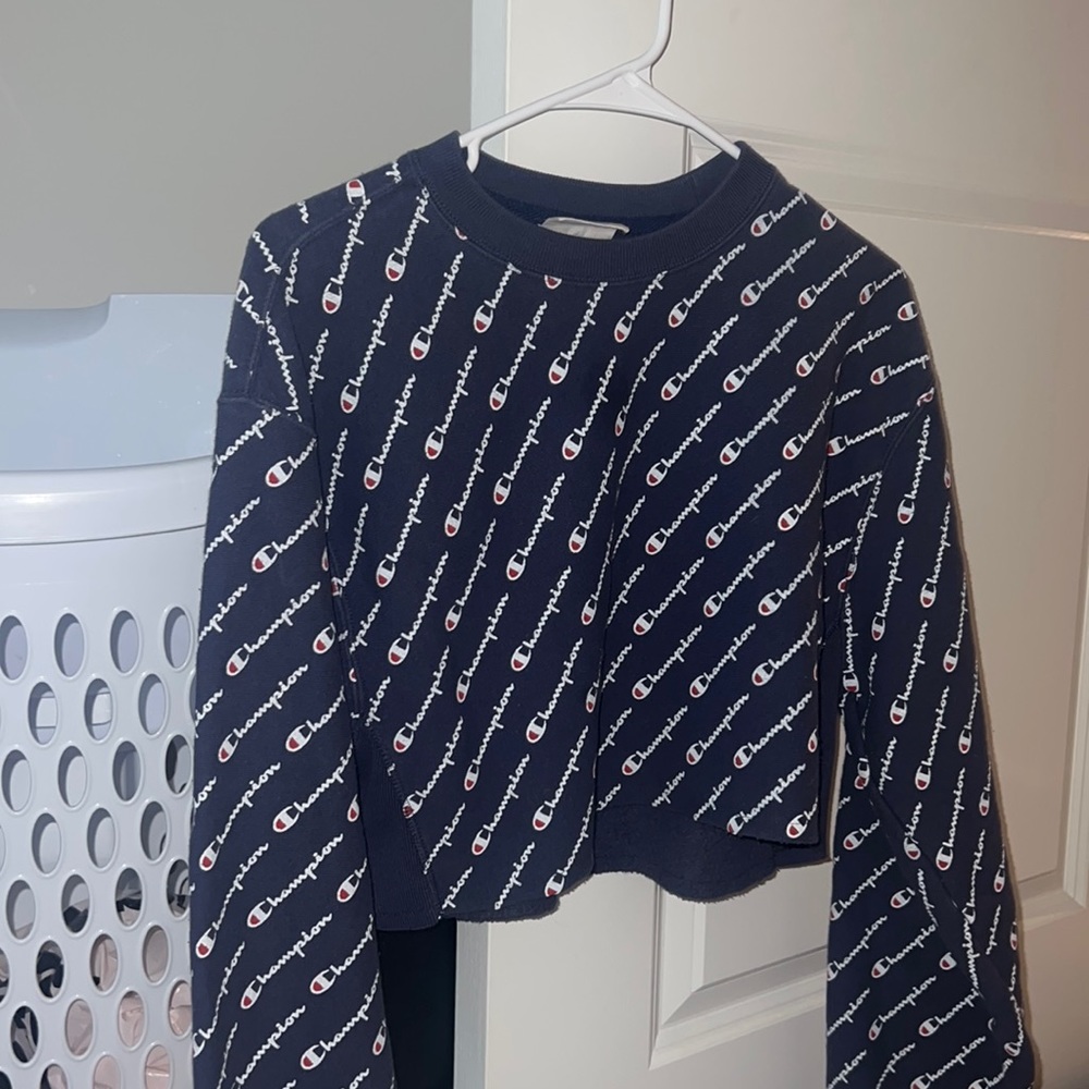 Champion cropped hoodie with the logo covering the entirety of the crew neck.
